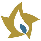 Lone Star Candle Supply gold star logo with a white and blue flame at center