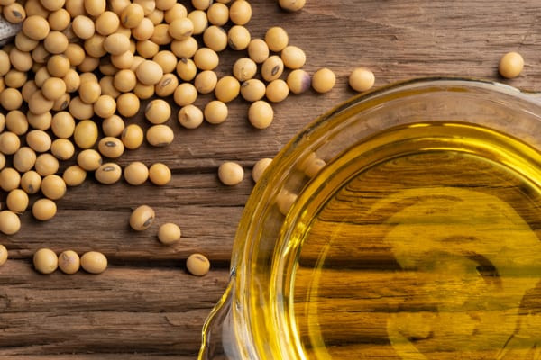 Pale dried soybeans scattered on weathered wood beside a glass dish of golden soybean oil