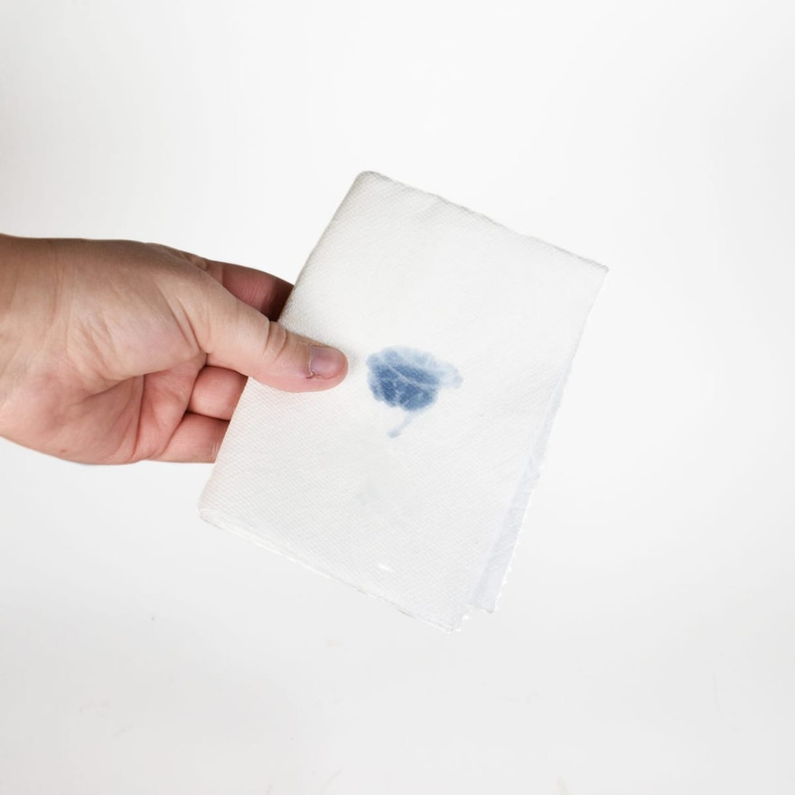 Hand holding a folded white paper towel marked with a small blue wax color test